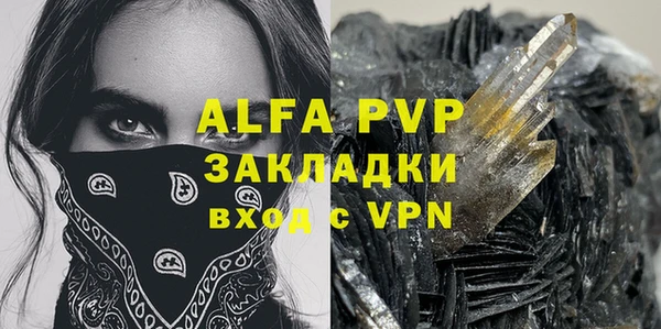 сатива Новокубанск