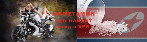 сатива Новокубанск