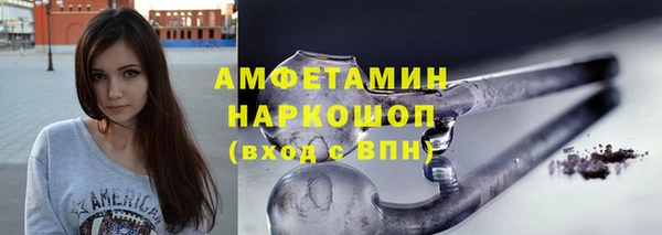сатива Новокубанск