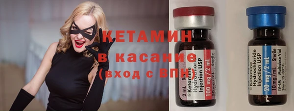 сатива Новокубанск