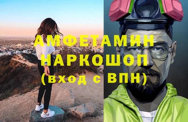 сатива Новокубанск