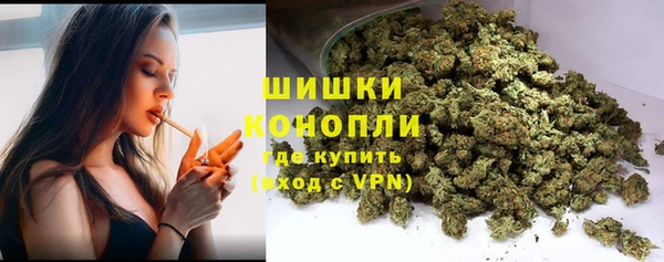 сатива Новокубанск