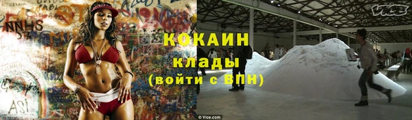 сатива Новокубанск