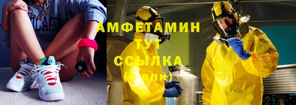 сатива Новокубанск