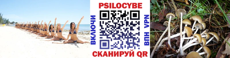 цены наркотик  гидра ссылки  Псилоцибиновые грибы мицелий  Яровое 