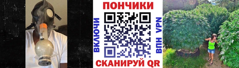 кракен сайт  Яровое  Каннабис семена 